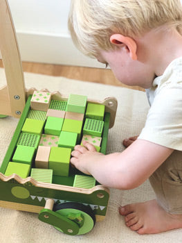 Wooden Crocodile Baby Walker