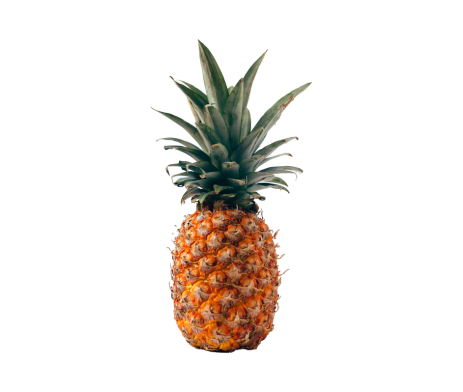 Organic Pineapple