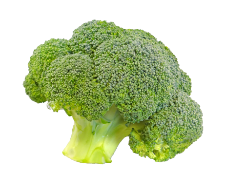 Organic Broccoli