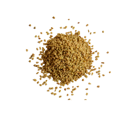 Organic Fenugreek Seeds