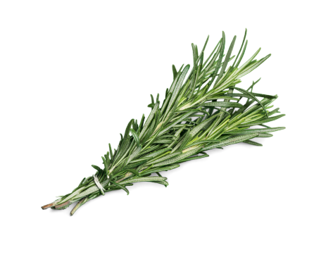 Organic Fresh Rosemary