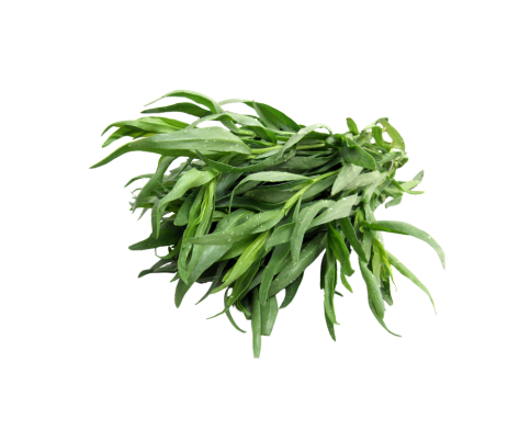 Organic Tarragon