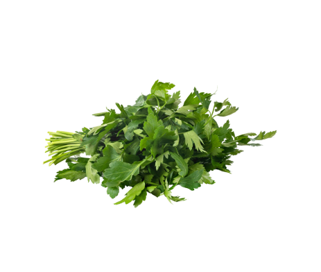 Organic Coriander