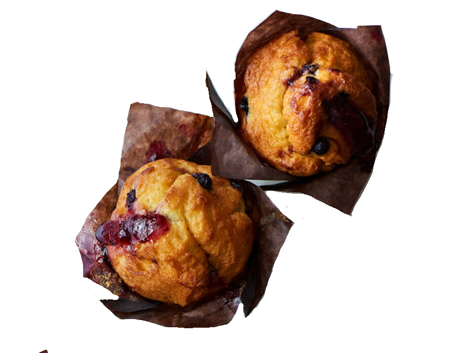 Blueberry Muffin