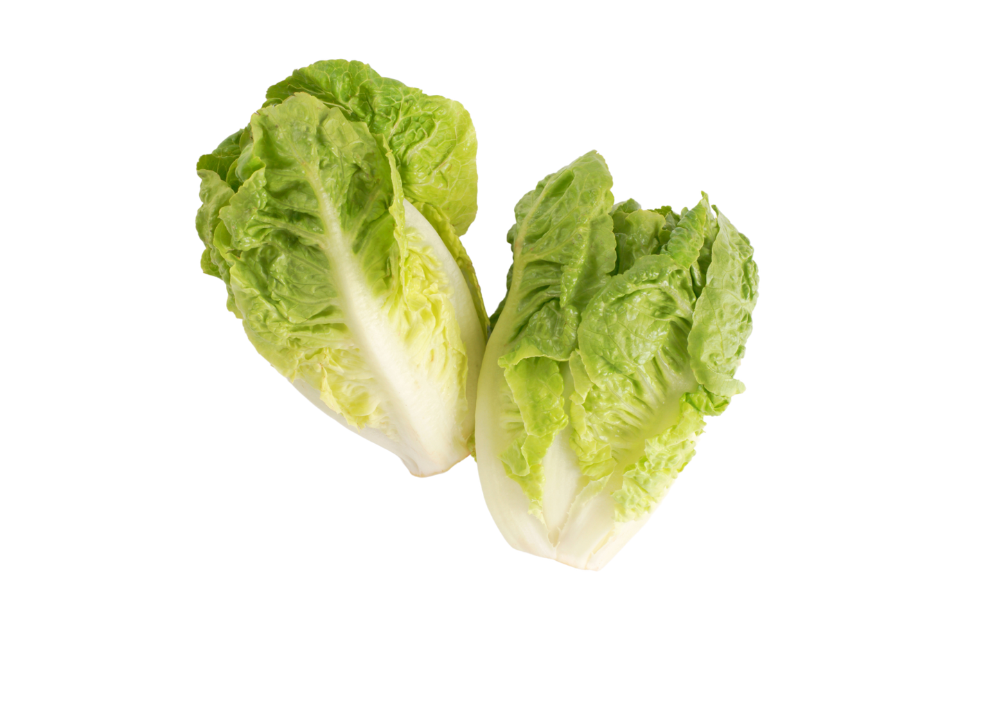 Organic Little Gem Lettuce