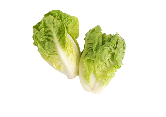 Organic Little Gem Lettuce