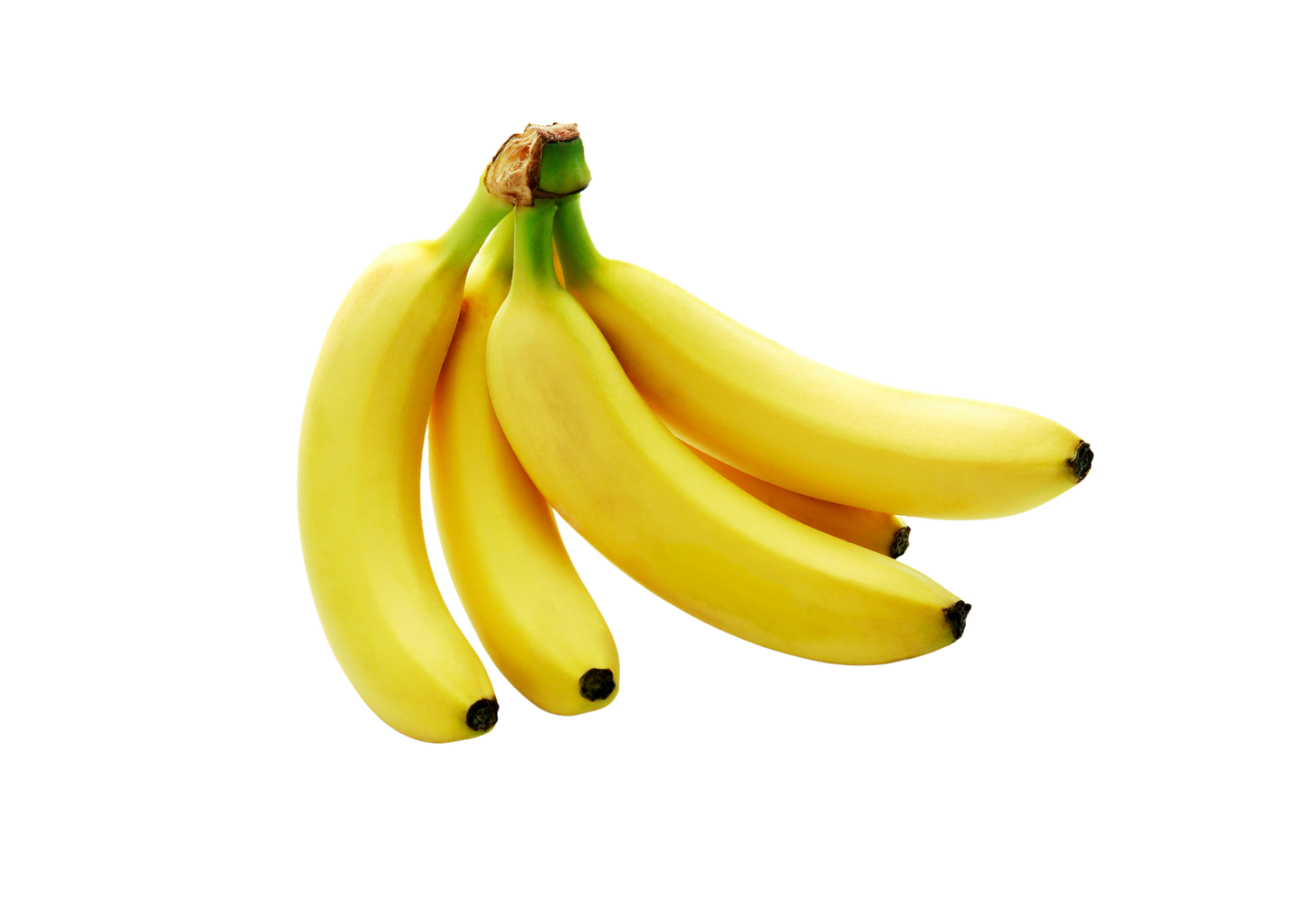 Organic Bananas (6)