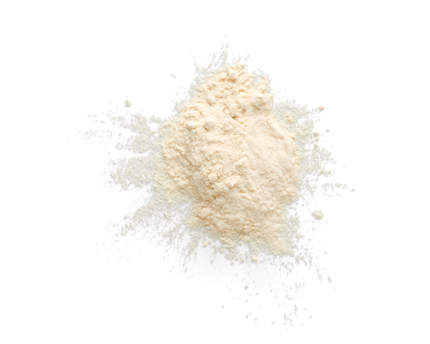 Organic Onion Powder