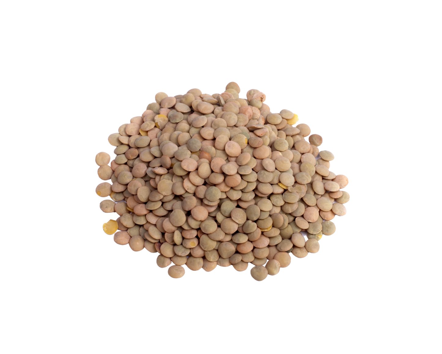 Organic Brown Lentils