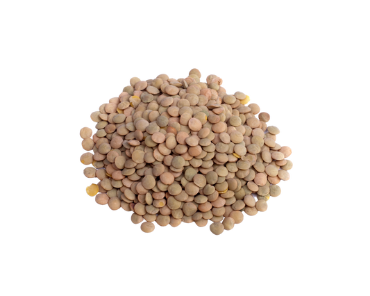 Organic Brown Lentils