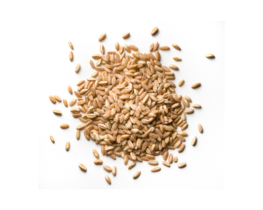 Organic Wheat Grain