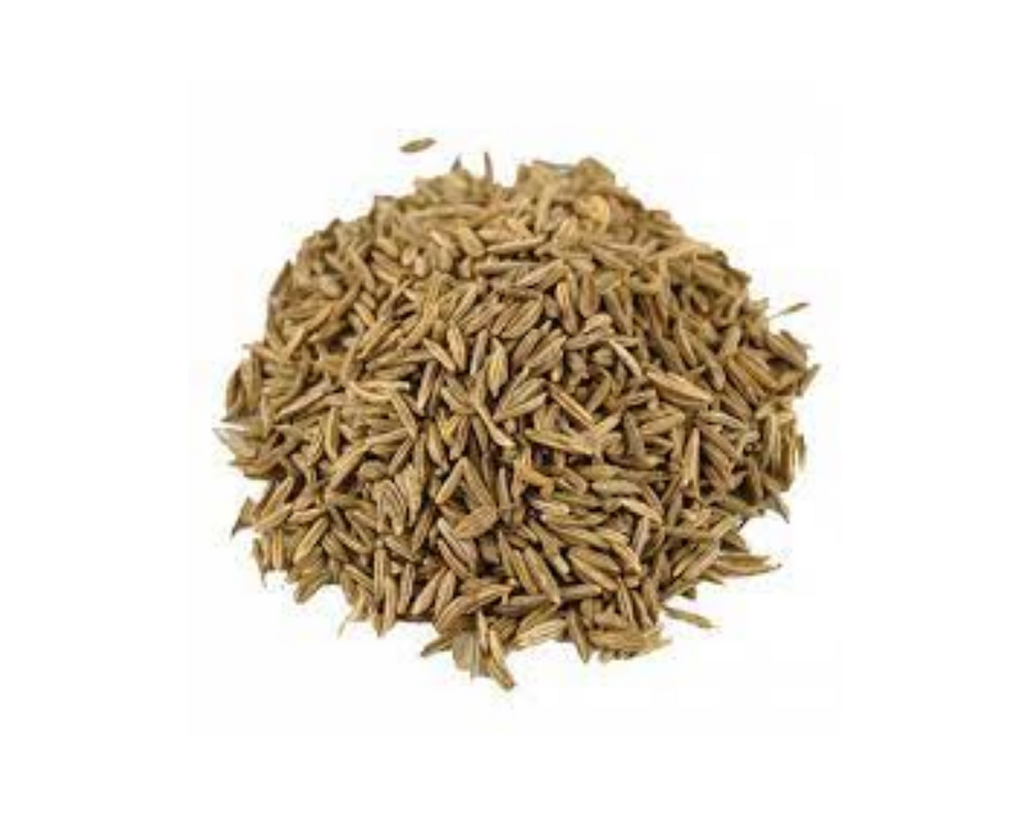 Organic Caraway Seeds